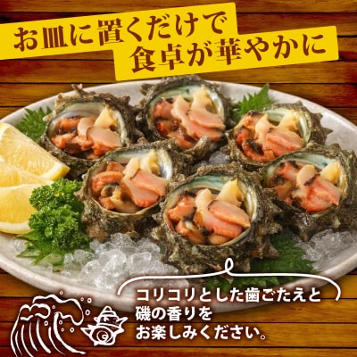 冷凍 お造り サザエ 10～14個 冷凍 下関 山口 《さわ水産:SW》 SW-SZ003