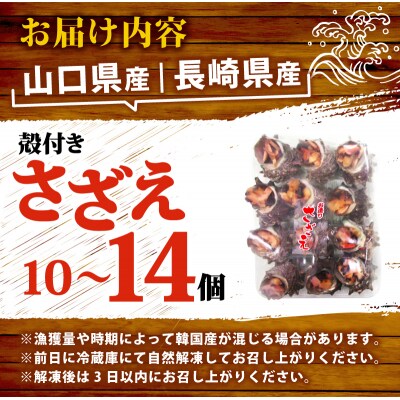冷凍 お造り サザエ 10～14個 冷凍 下関 山口 《さわ水産:SW》 SW-SZ003
