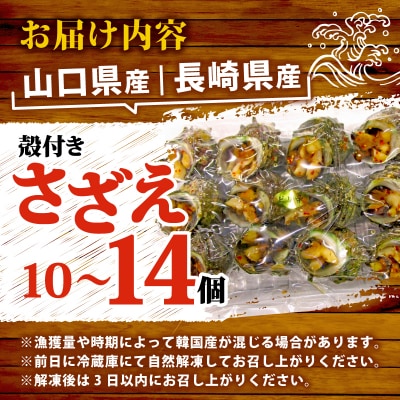 冷凍 お造り サザエ ピリ辛和え 冷凍 下関 山口 《さわ水産:SW》 SW-SZ004