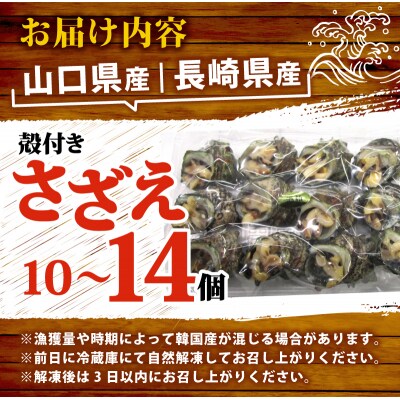 冷凍 お造り サザエ 酒粕和え 冷凍 下関 山口 《さわ水産:SW》 SW-SZ005