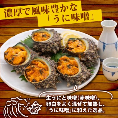冷凍 お造り サザエ うに味噌和え 冷凍 下関 山口 《さわ水産:SW》 SW-SZ006