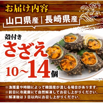 冷凍 お造り サザエ うに味噌和え 冷凍 下関 山口 《さわ水産:SW》 SW-SZ006