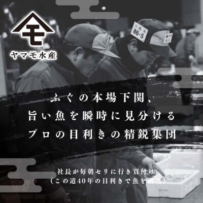 ふぐ 刺身 満足 セット 4～5人前 120g 冷凍 ふぐ刺し 河豚 てっさ 下関 FR060
