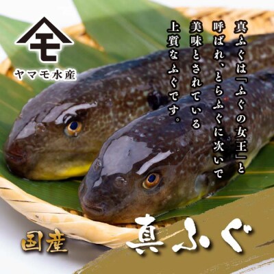 ふぐ 料理 満喫 セット 4～5人前 120g 冷凍 ふぐ刺し 河豚 てっさ 下関 FR061