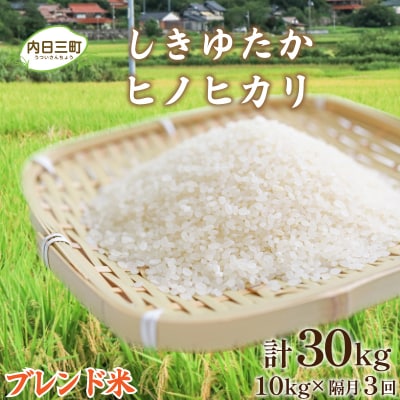 【令和7年産】定期便 Wブレンド米10kg 隔月3回 山口県産 《内日三町:DZ8016》