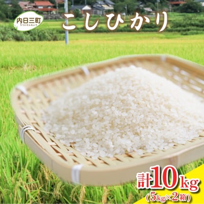 令和7年産 コシヒカリ 10kg (5kg×2箱) 山口県産 《内日三町:DZ8001》