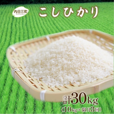 令和7年産 コシヒカリ10kg 隔月3回 山口県産 《内日三町:DZ9105》