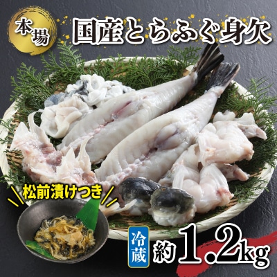 国産 とらふぐ 身欠セット 約1.2kg ふぐ松前漬け 冷蔵 下関《海(かい):KA》 KA9001