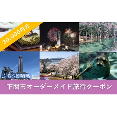 下関 オーダーメイド 旅行 クーポン 30,000円分 1枚 旅のコンサルティング FN002
