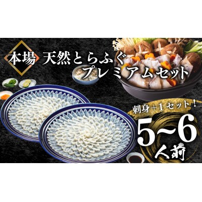 天然とらふぐ ふぐ刺し ふぐちり 皮刺し 焼きヒレ 冷凍 陶器 プレミアムセット+α BV021_1