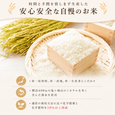 【先行予約】 コシヒカリ10kg (5kg×2箱) 令和8年産 《内日三町:DZ811-KS》