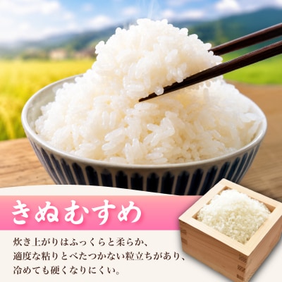  【先行予約】 きぬむすめ 10kg (5kg×2袋) 令和8年産 《内日三町:DZ811-KN》