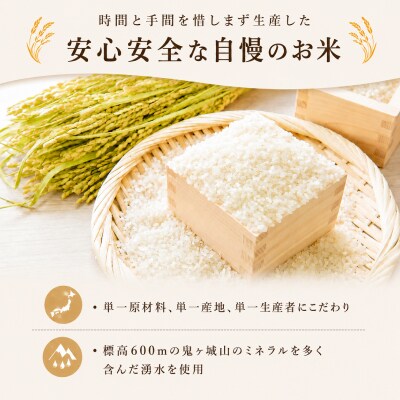 きぬむすめ 10kg (5kg×2袋) 令和8年産 《内日三町:DZ811-KN》
