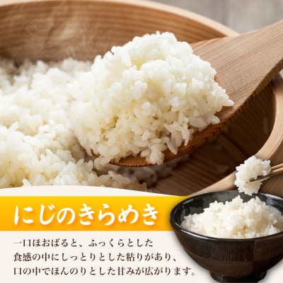 【先行予約】 にじのきらめき 10kg 隔月3回 令和8年産 《内日三町:DZ813-NJ》
