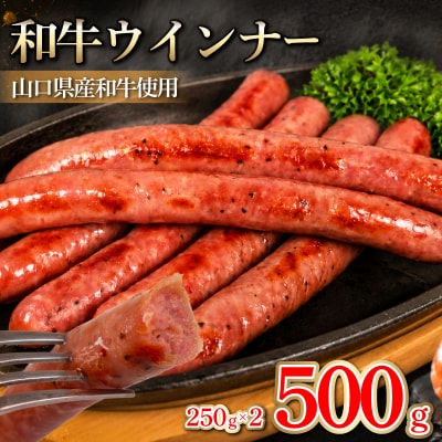 和牛ウインナー 500g 小分け 和牛100% ソーセージ ウインナー BM117