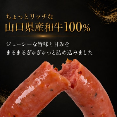 和牛ウインナー 500g 小分け 和牛100% ソーセージ ウインナー BM117