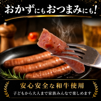 和牛ウインナー 500g 小分け 和牛100% ソーセージ ウインナー BM117