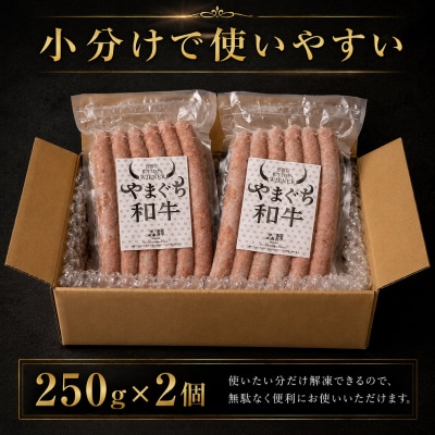 和牛ウインナー 500g 小分け 和牛100% ソーセージ ウインナー BM117