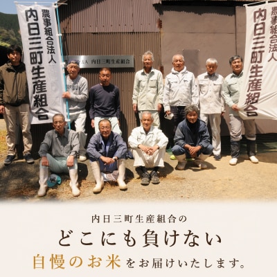 コシヒカリ 10kg 隔月3回 令和8年産 《内日三町:DZ813-KS》