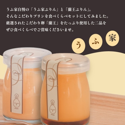 こだわりプリン2種 食べくらべセット うふ家ぷりん 蘭王ぷりん 6個入 冷蔵 NR003