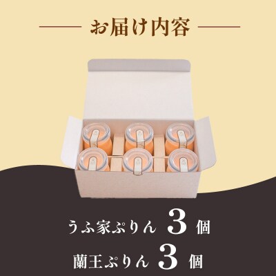 こだわりプリン2種 食べくらべセット うふ家ぷりん 蘭王ぷりん 6個入 冷蔵 NR003
