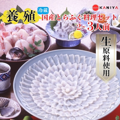 【配送指定日必須】国産 養殖とらふぐ料理セット 2～3人前 冷蔵 下関《蟹屋:KNY》KNY-F02