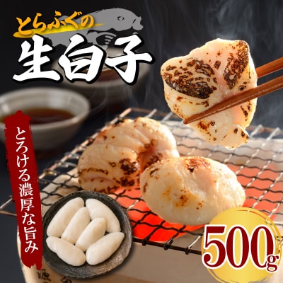 とらふぐ生白子 大容量 500g 冷凍 ふぐ 高級魚 鮮魚 下関 山口 FG054