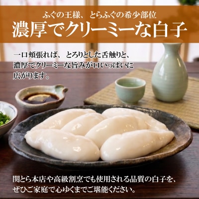 とらふぐ生白子 大容量 500g 冷凍 ふぐ 高級魚 鮮魚 下関 山口 FG054