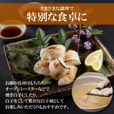 とらふぐ生白子 大容量 500g 冷凍 ふぐ 高級魚 鮮魚 下関 山口 FG054