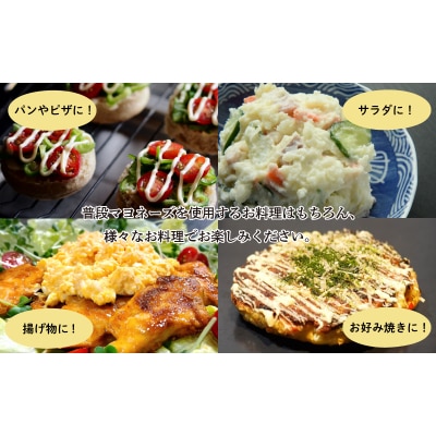 ノンエッグ 豆乳 マヨネーズ 3個 セット AJ108