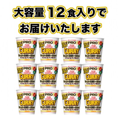 【定期便6回】 カップヌードルPRO カレー 高たんぱく 12食入り JC406