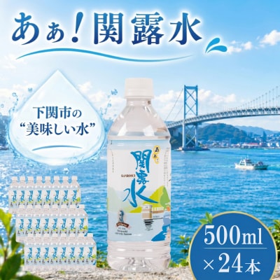 水 500mL×24本 長期保存飲料水 防災備蓄用 NM001