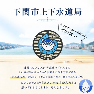 水 500mL×24本 長期保存飲料水 防災備蓄用 NM001