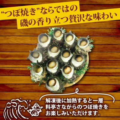 冷凍 つぼ焼きさざえ白だし 12個 下関 《さわ水産:SW》 SW-SZ008