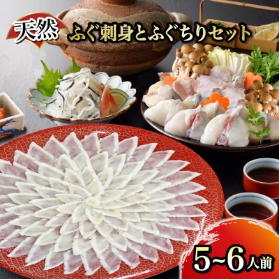 天然ふぐ刺身とふぐちりセット 5～6人前 FG050