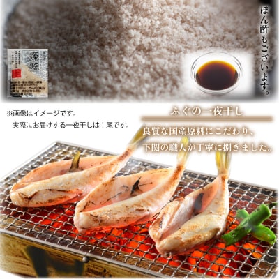 ふぐ 料理セット 霜降造り 刺し 一夜干し 冷凍 FP015