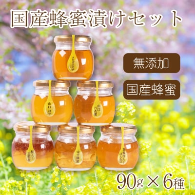 はちみつ 国産 蜂蜜漬け セット 540g(90g×6種) ES002