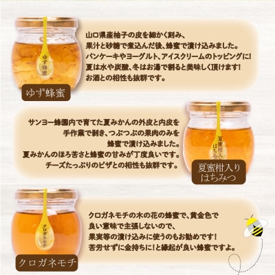 はちみつ 国産 蜂蜜漬け セット 540g(90g×6種) ES002