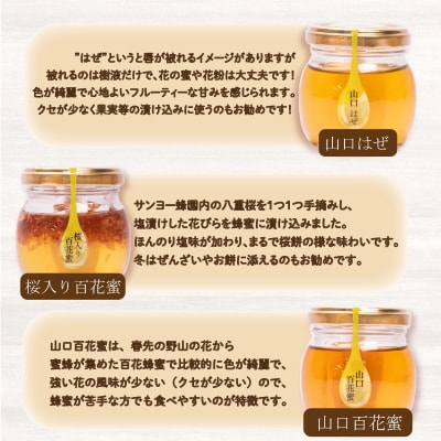 はちみつ 国産 蜂蜜漬け セット 540g(90g×6種) ES002