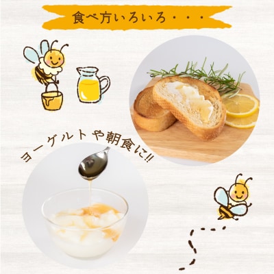 はちみつ 国産 蜂蜜漬け セット 540g(90g×6種) ES002