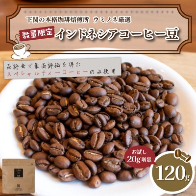【豆】 訳あり コーヒー豆 お試し 120g 数量限定 インドネシア EW152-E