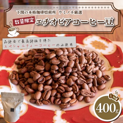 【豆】 訳あり コーヒー豆 400g 数量限定 エチオピア EW146-D