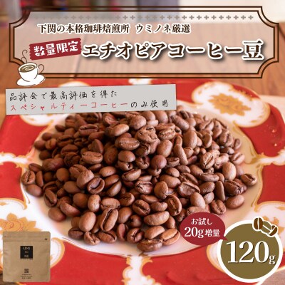 【豆】 訳あり コーヒー豆 お試し 120g 数量限定 エチオピア EW146-E