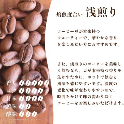 【豆】 訳あり コーヒー豆 お試し 120g 数量限定 エチオピア EW146-E