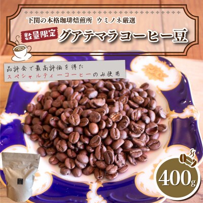 【豆】 訳あり コーヒー豆 400g 数量限定 グアテマラ EW147-D
