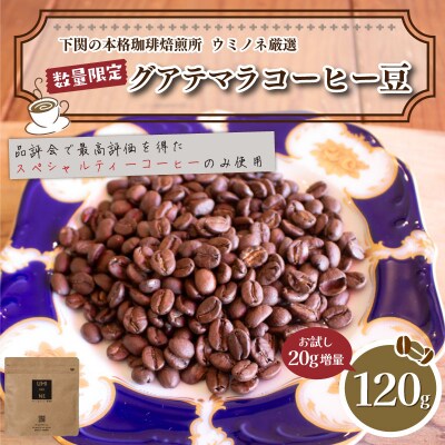 【豆】 訳あり コーヒー豆 お試し 120g 数量限定 グアテマラ EW147-E