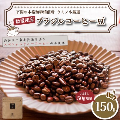 【豆】 訳あり コーヒー豆 お試し 150g 数量限定 ブラジル EW144-E