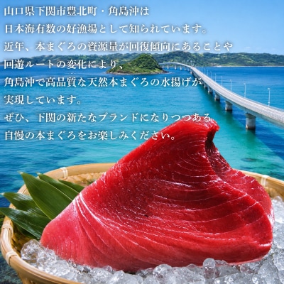 ねぎとろ 【天然本まぐろのみ使用】 まぐろたたき 80g×4P 冷凍 JK006