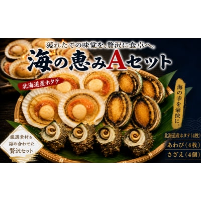 海の恵みAセット 下関 山口 《さわ水産:SW》 SW-UM002A