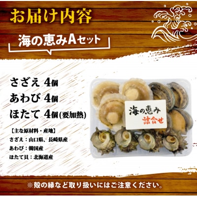 海の恵みAセット 下関 山口 《さわ水産:SW》 SW-UM002A